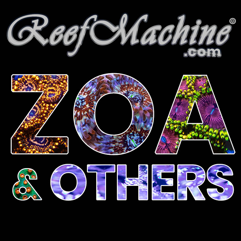 Zoas & Others
