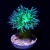 Toxic Green Stem Aussie Duncan (1+1 polyp)  | 6L8A9642.jpg