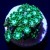 Metallic Green Alveopora | 6L8A9946.jpg