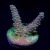 RM Rainbow Planet Tabling Acro Acropora | 6L8A3425.jpg