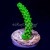 Electric Lime Stag Acro Acropora | 6L8A9220.jpg
