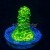Ultra Bright Bali Slimer Acropora Acro | 6L8A1875.jpg