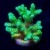 Toxic Mean Green Pocillopora XL  | 6L8A6212.jpg