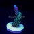 Blue Tip Green Stag Acropora Acro  | 6L8A6033.jpg