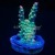 Wicked Orchid Acropora Acro | 6L8A9729.jpg