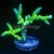 RM Green Goblin Anacropora | 6L8A9800.jpg