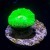 Kryptonite Candy Cane Neon Green (1 polyp)  | 6L8A1531.jpg