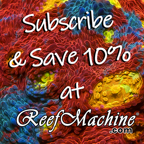 <strong>SAVE 10%</strong> Mailing List Special Offer! 