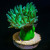 Toxic Green Stem Aussie Duncan Coral (1 Polyp)  | 6L8A3889.jpg
