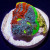Master Grade Rainbow Crush Chalice Coral (Tank Grown) | 6L8A5857.jpg