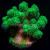 Toxic Mean Green Pocillopora Coral | 6L8A5928.jpg