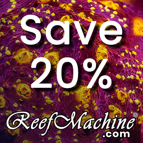 SAVE 20% on livestock orders £50+ <strong> at reefmachine.com</strong>