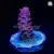 RM Queen of Hearts Millepora Acro Coral | 6L8A7815.jpg