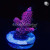 RM Pink Midnight Millepora Acro Coral | 6L8A8224.jpg