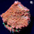 RM Nacreous Cloud Chalice Coral | 6L8A9772.jpg