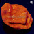 Sun God Leptoseris Lepto Coral | 6L8A9619.jpg