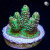 RM Gold Tip Tabling Acropora Coral | 6L8A9662.jpg